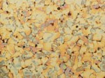 gx6.jpg